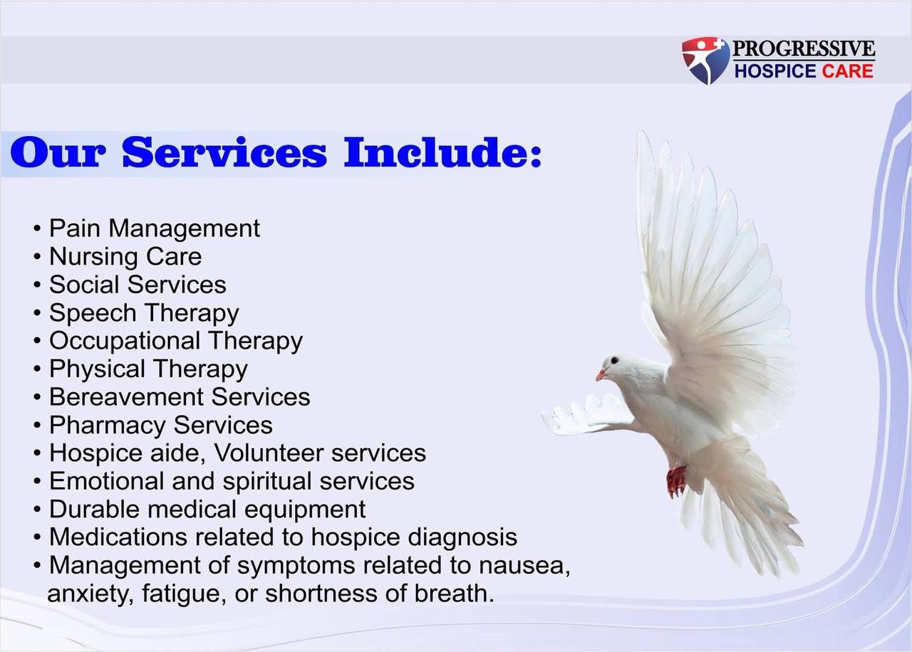 Our Services Include